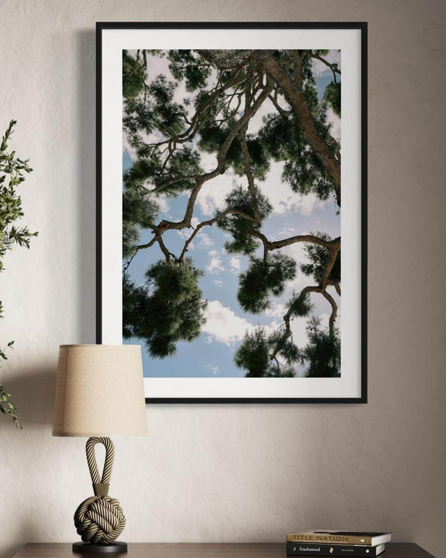 Nature Print of Mediterranean pines and luminous sky in Beaulieu Dreaming, a captivating wall art decor.